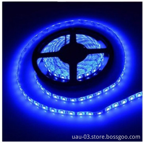 Perfect waterproof 5630 led rope light IP68 led flexible strip